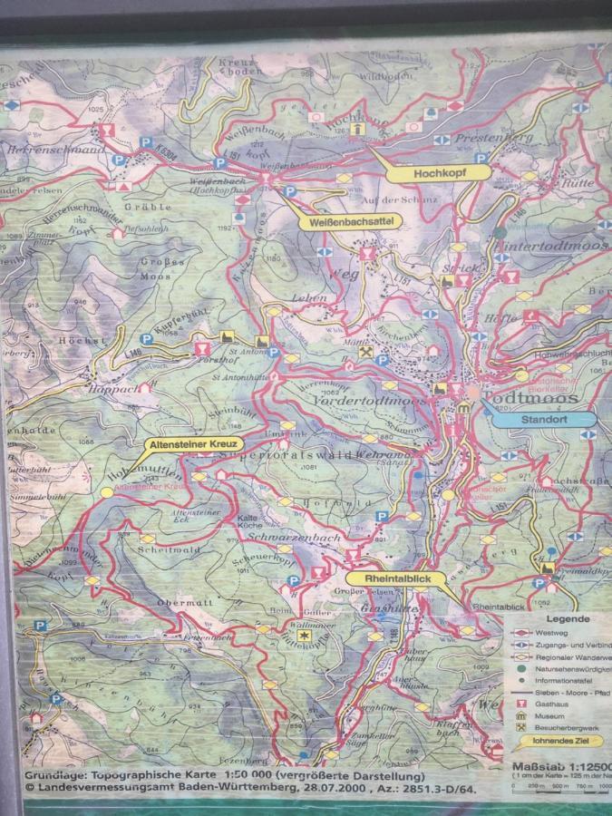 Kleines Haus Silberdistel Lejlighed Todtmoos Eksteriør billede