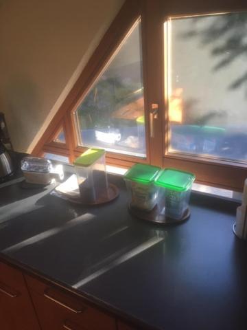 Kleines Haus Silberdistel Lejlighed Todtmoos Eksteriør billede