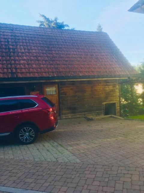 Kleines Haus Silberdistel Lejlighed Todtmoos Eksteriør billede