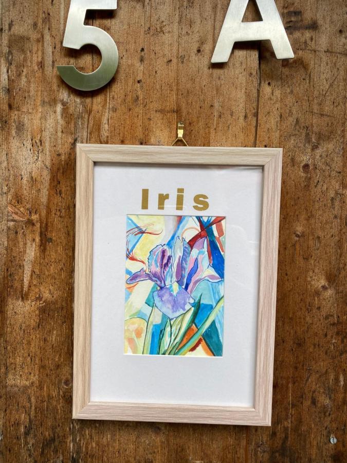 Kleines Haus Silberdistel Lejlighed Todtmoos Eksteriør billede